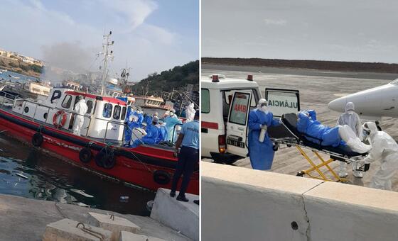 OMS: risco de surto de hantavírus é “absolutamente baixo” e sem comparação ao Covid19